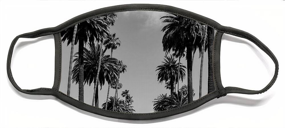 Beverly Hills Face Mask featuring the photograph Palms of Beverly Hills by Mountain Dreams