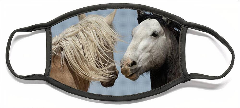 Panorama Face Mask featuring the photograph Palomino and a Gray by Mary Hone
