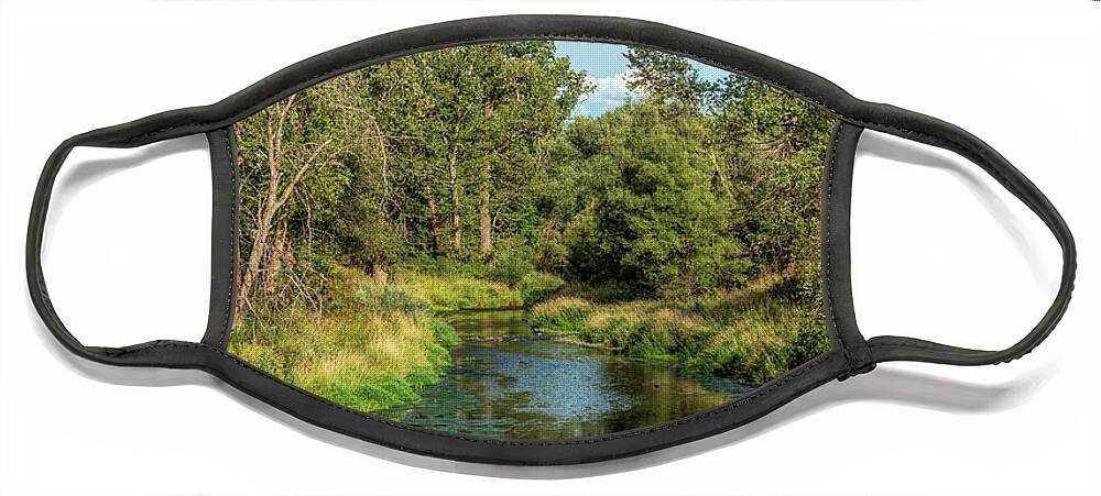 Green Face Mask featuring the photograph Palouse River by Pamela Dunn-Parrish