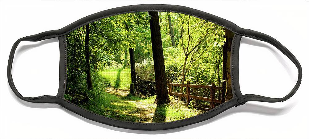 Trees Face Mask featuring the photograph Path out of Summer by Christopher Reed