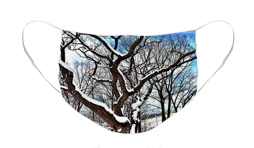 Paths Face Mask featuring the photograph Path To The Lookout by Susie Loechler