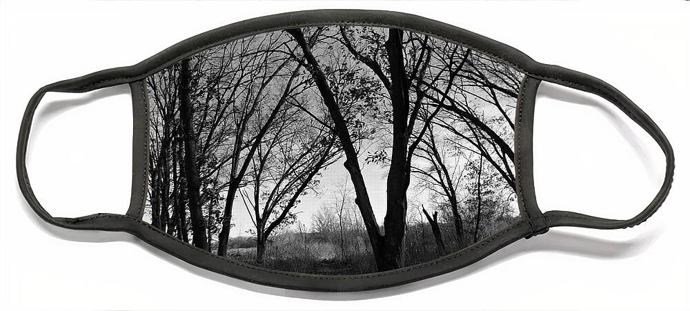 Nature Face Mask featuring the photograph Pathway In The Winter Woods by Frank J Casella