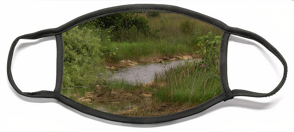 Boardwalk Face Mask featuring the photograph Peace in the Prairie by Patti Powers