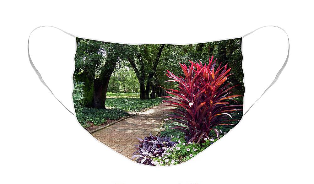 Park Face Mask featuring the photograph Peaceful Setting by Amy Dundon