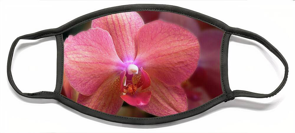  Face Mask featuring the photograph Peach Orchid by Penny Lisowski