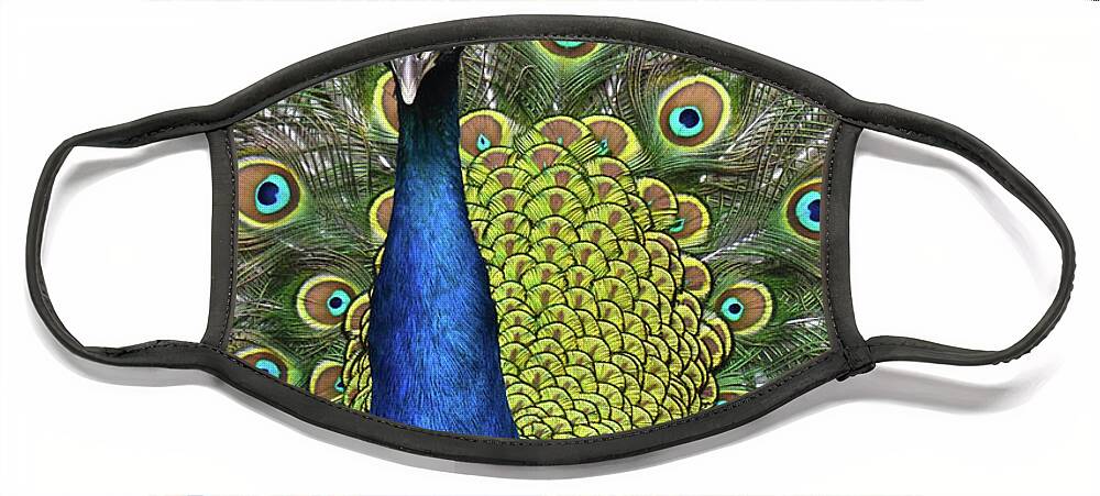 Tail Face Mask featuring the photograph Peacock Display by Ann Bridges