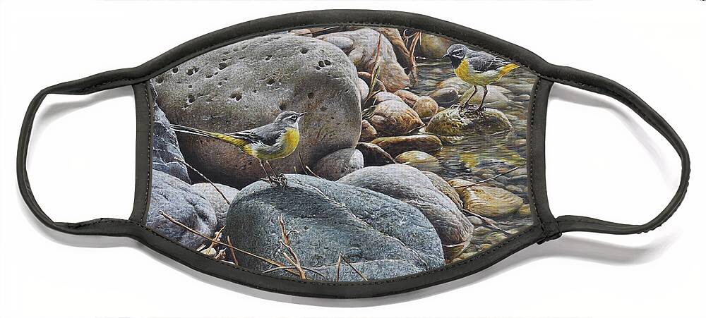 Pebble Face Mask featuring the painting Pebble Stream Wagtails by Alan M Hunt
