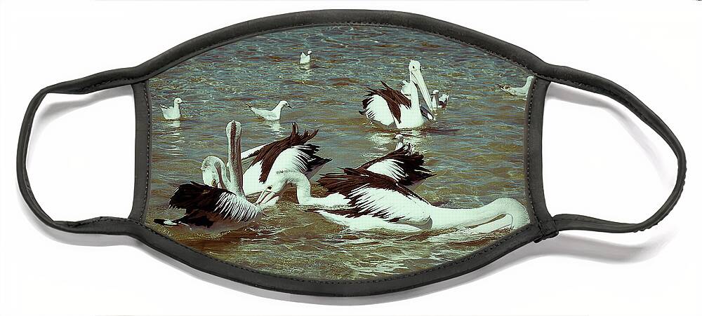Pelican Face Mask featuring the photograph Pelican Feeding Frenzy by Elaine Teague