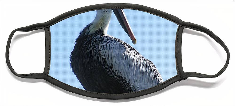  Face Mask featuring the photograph Pelican Roost by Heather E Harman