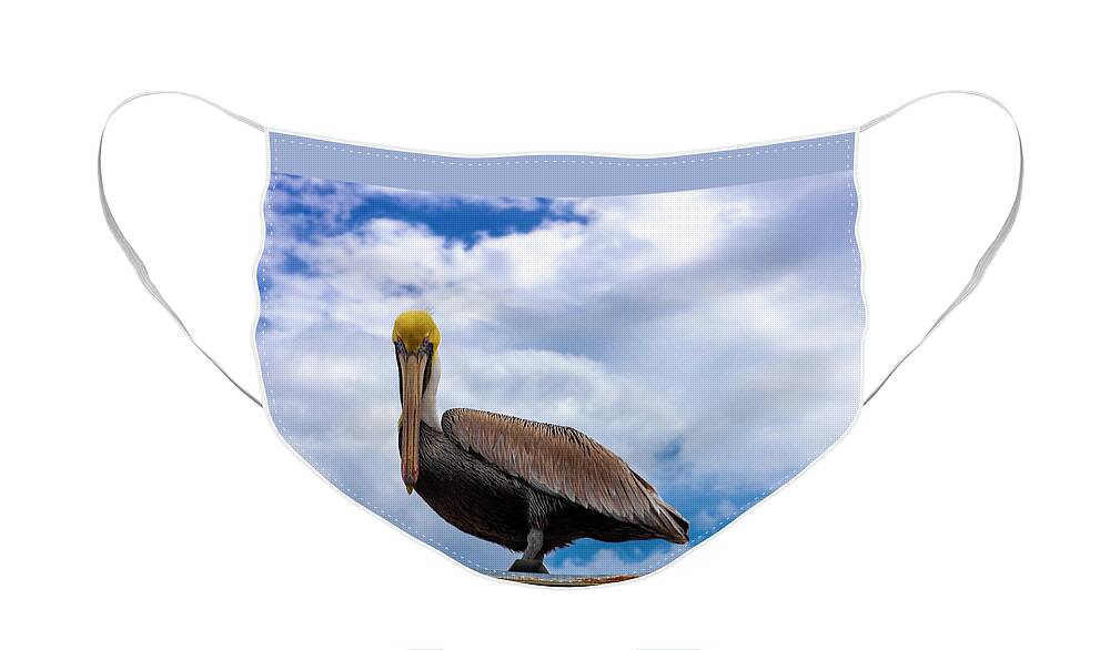 Pelican Face Mask featuring the photograph Pelican Stare Down by Blair Damson