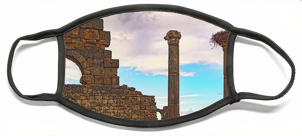 Roman Ruins Face Mask featuring the photograph Perch Among the Ruins by Edward Shmunes
