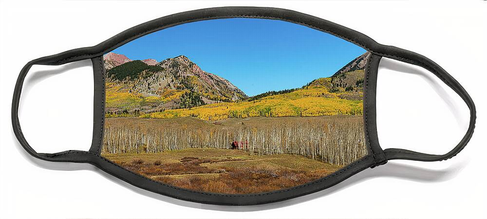 Aspens Face Mask featuring the photograph Perfect Fall Solitude by Ron Long Ltd Photography
