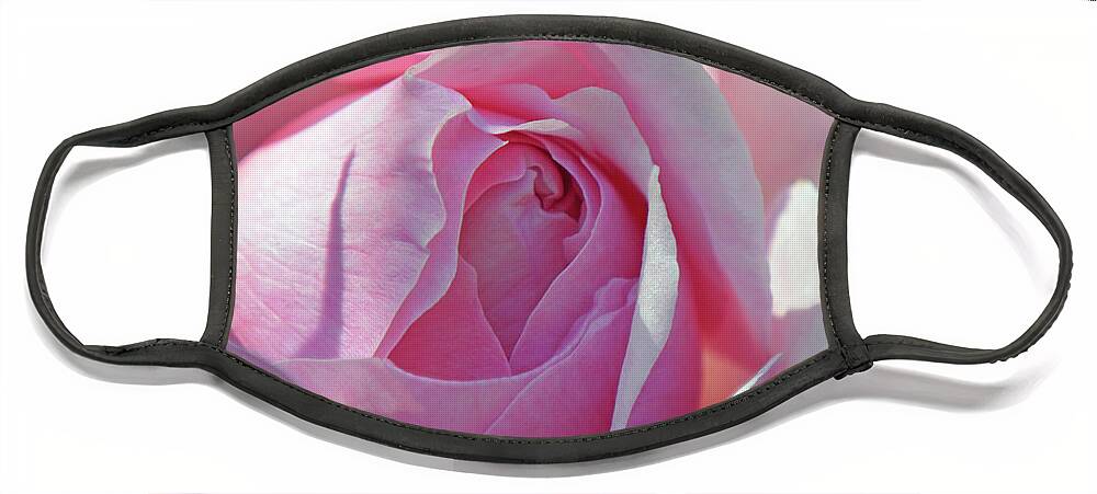 Rose Face Mask featuring the photograph Perfection In Pink. by Terence Davis