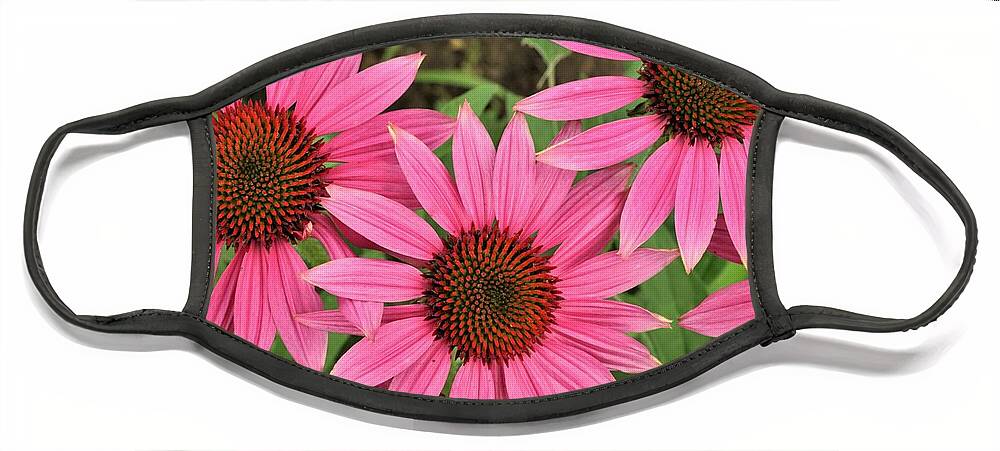 Nature Face Mask featuring the photograph Perfectly Pink Coneflowers by Sheila Brown