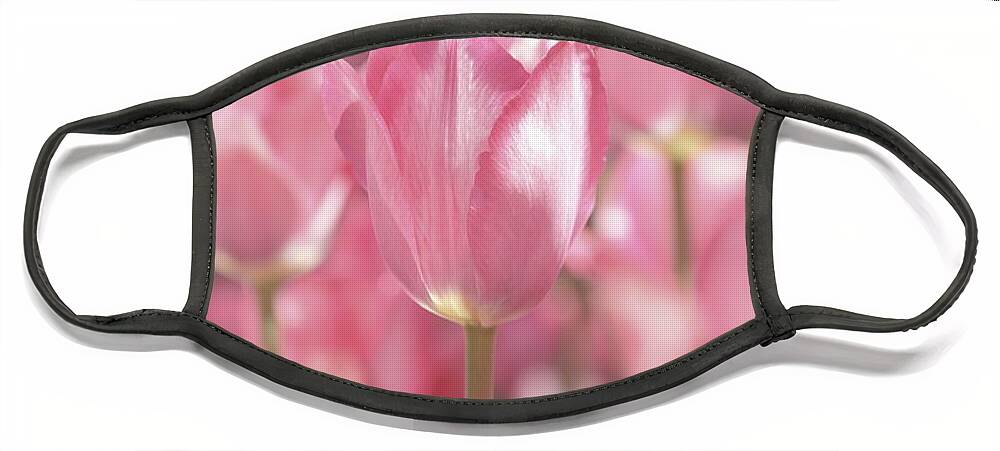 Nature Face Mask featuring the photograph Perfectly Pink by Lens Art Photography By Larry Trager