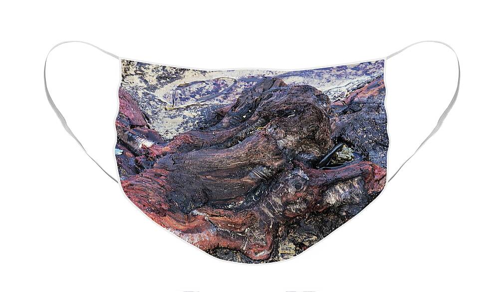 Petrified. Forest. Beach Face Mask featuring the photograph Petrified Forest by Jeff Townsend