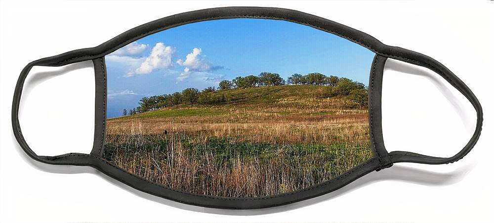 Middleton Face Mask featuring the photograph Pheasant Branch Conservancy 1, Middleton, WI by Steven Ralser