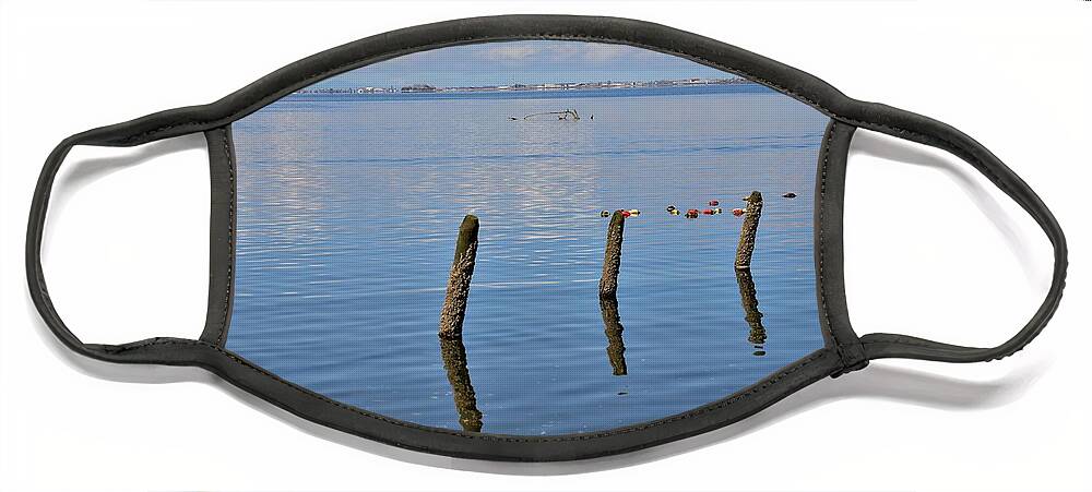 Pilings Face Mask featuring the photograph Pilings in the Ocean by James Cousineau