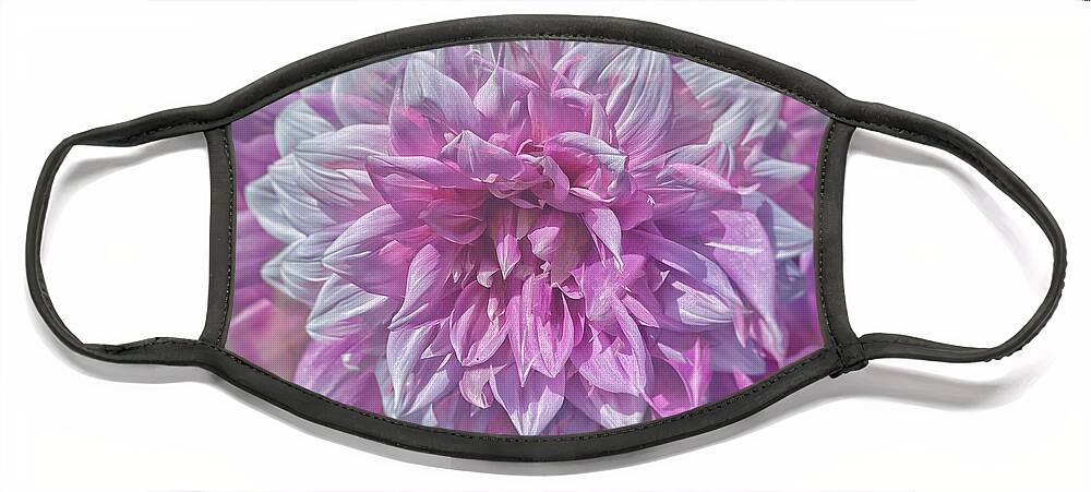 Dahlia Face Mask featuring the photograph Pink and White Dahlia by Jerry Abbott