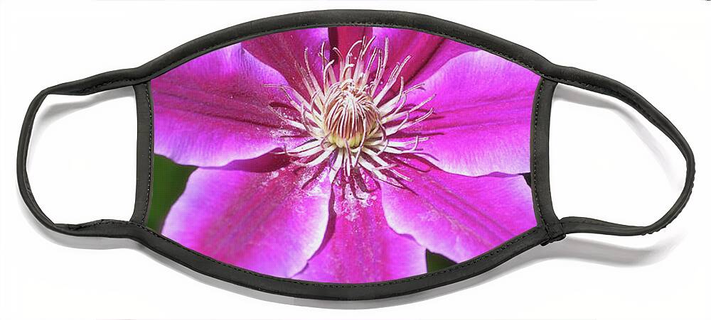 Flowers Face Mask featuring the photograph Pink Clematis Flower by Christina Rollo