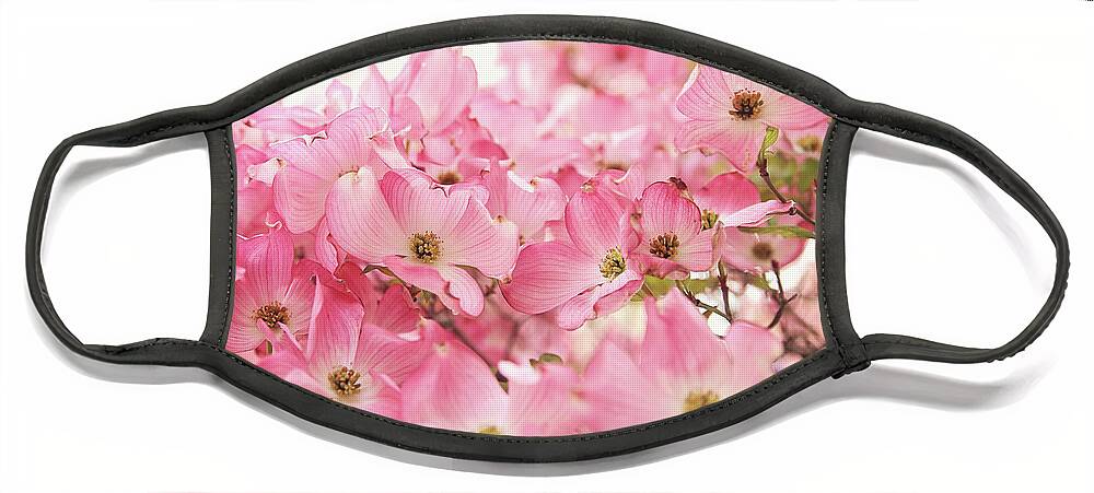 Dogwood Face Mask featuring the photograph Pink Dogwood Flowers by Sylvia Cook