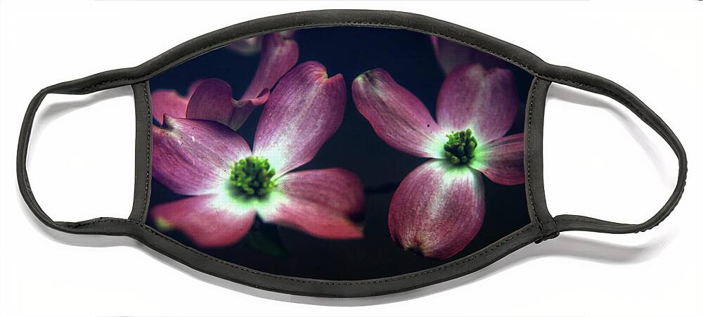 Flower Face Mask featuring the photograph Pink Dogwoods by George Taylor