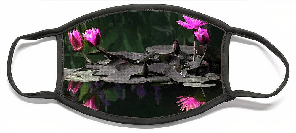 Pink Face Mask featuring the photograph Pink Lilies and Reflections by Penny Lisowski