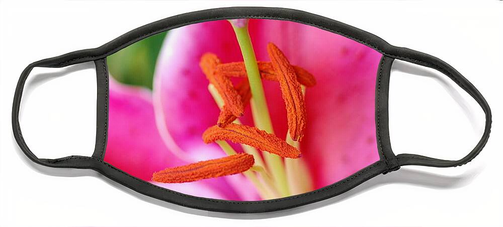 Lily Face Mask featuring the photograph Pink Lily 1 by Amy Fose