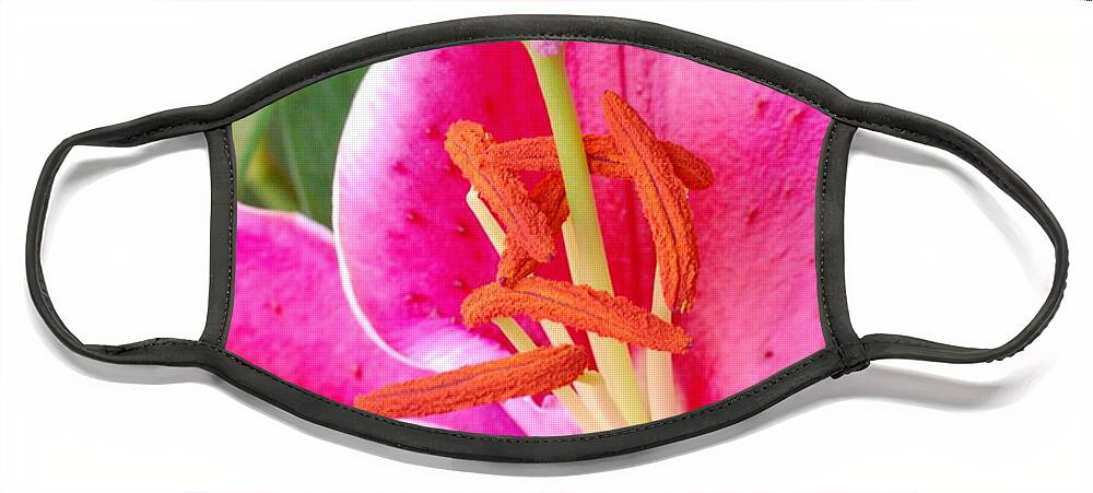 Lily Face Mask featuring the photograph Pink Lily 2 by Amy Fose