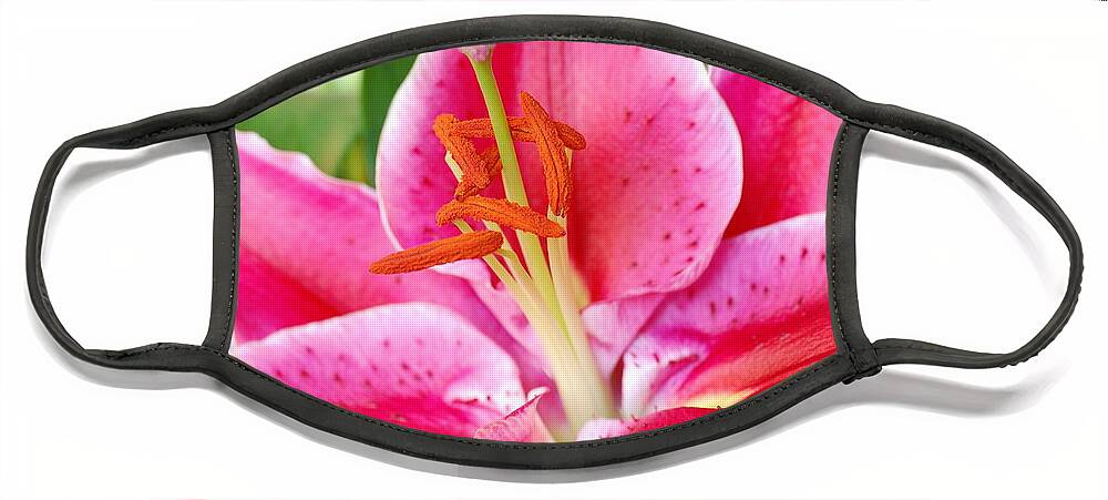 Lily Face Mask featuring the photograph Pink Lily 3 by Amy Fose