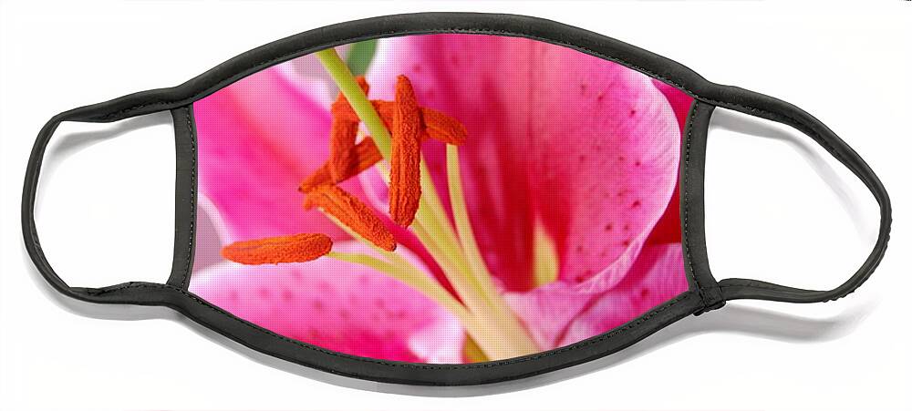 Lily Face Mask featuring the photograph Pink Lily 7 by Amy Fose