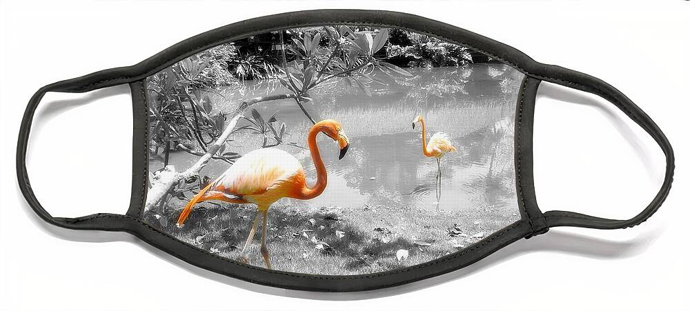 Bird Face Mask featuring the photograph Pink Orange Flamingo Photo 212 by Lucie Dumas