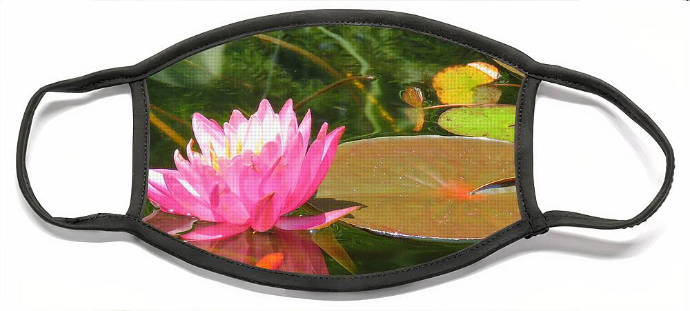 Pink Water Lily Face Mask featuring the photograph Pink Pond Lily and Goldie by Anita Adams