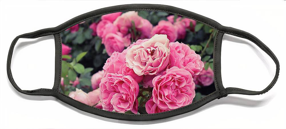 Roses Face Mask featuring the photograph Pink Rose Bed by Andrea Whitaker
