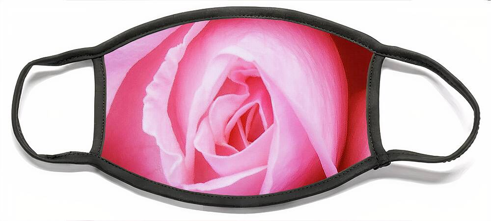 Pink Rose Face Mask featuring the photograph Pink Rose by David Morehead