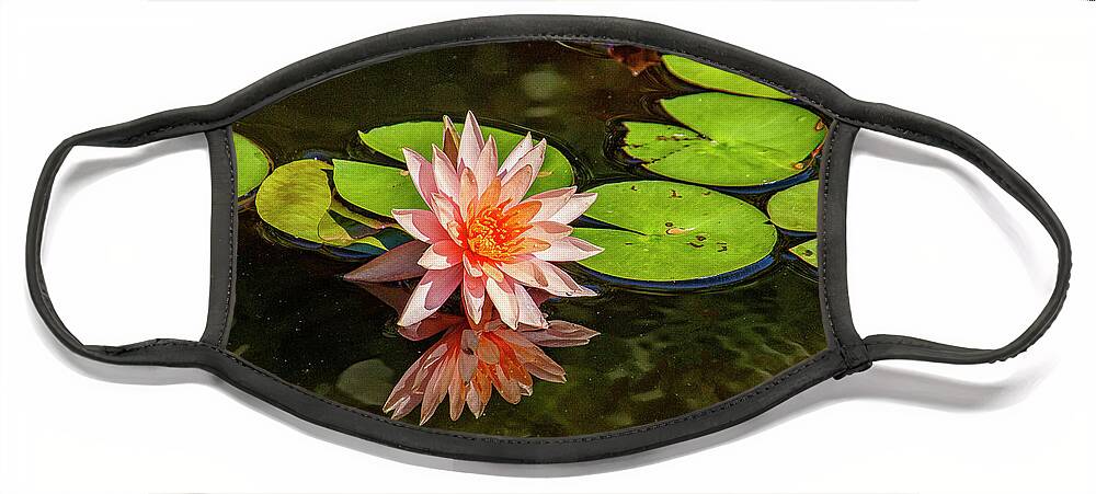 Lily Face Mask featuring the photograph Pink Water Lily by Bill Barber