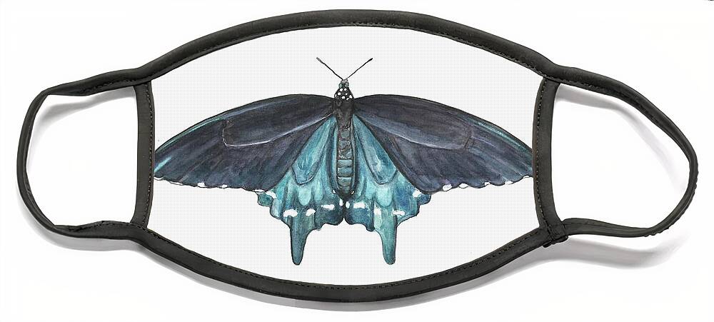 Butterfly Butterflies Florida American Pipevine Swallowtail Blue Navy Transformation Watercolor Face Mask featuring the painting Pipevine Swallowtail Butterfly by Pamela Schwartz