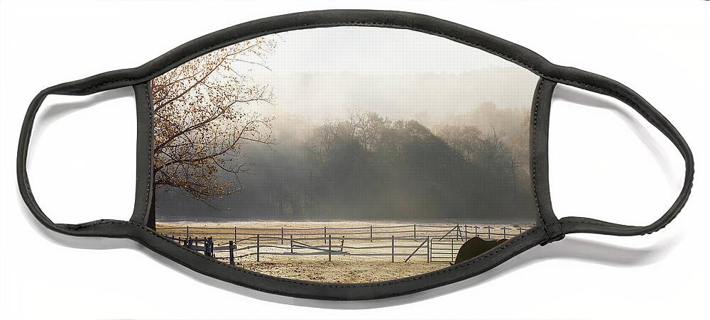 Pisgah Forest Face Mask featuring the photograph Pisgah Forest NC Autumn Farm by Donnie Whitaker