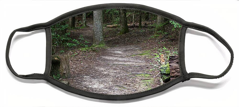 Obed Face Mask featuring the photograph Point Trail At Obed 18 by Phil Perkins