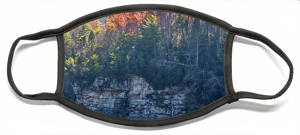 Nature Face Mask featuring the photograph Point Trail At Obed 5 by Phil Perkins
