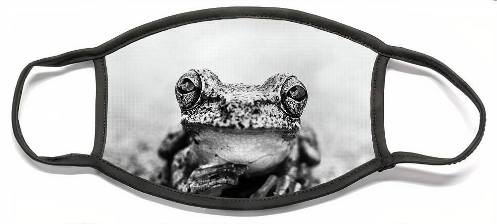 Animal Face Mask featuring the photograph Pondering Frog Bw by Laura Fasulo