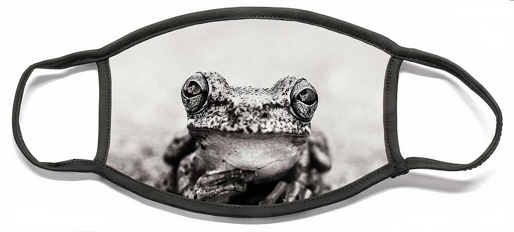 Frog Face Mask featuring the photograph Pondering Frog Sepia by Laura Fasulo
