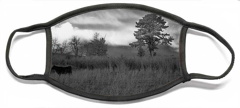 Grass Face Mask featuring the photograph Ponderings of a Heifer by Mike Lee