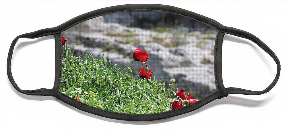 Poppies Face Mask featuring the photograph Poppies and Ruins by M Kathleen Warren