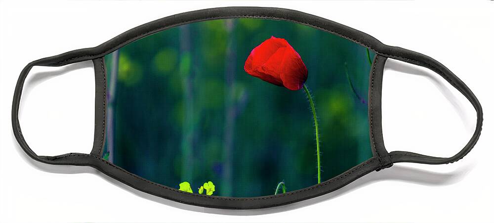 Bulgaria Face Mask featuring the photograph Poppy by Evgeni Dinev