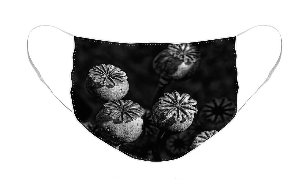 Poppy Face Mask featuring the photograph Poppy Seed Pods Monochrome by Jeff Townsend