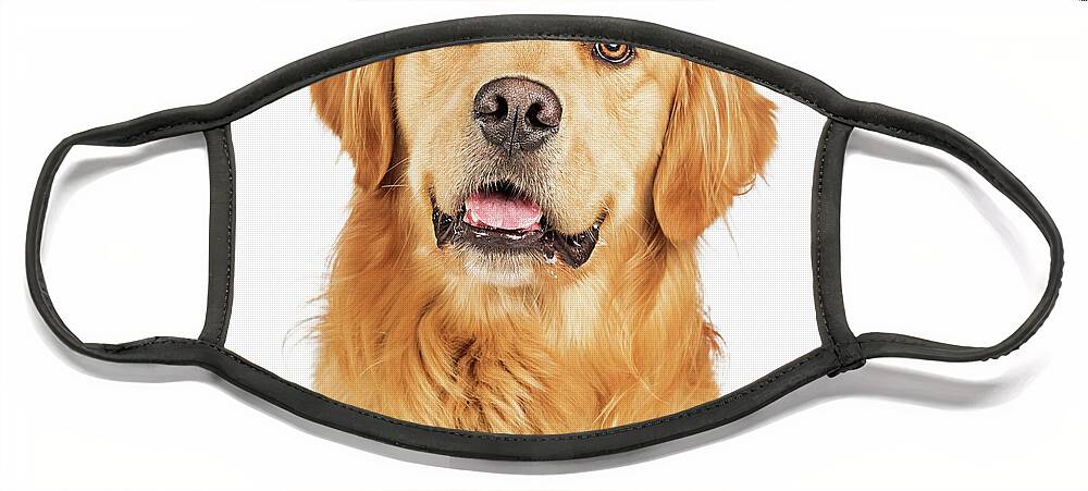 Animal Face Mask featuring the photograph Portrait Happy Purebred Golden Retriever Dog by Good Focused