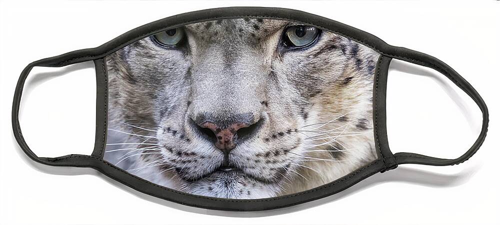 Leopard Face Mask featuring the photograph Portrait of an adult snow leopard by Jane Rix