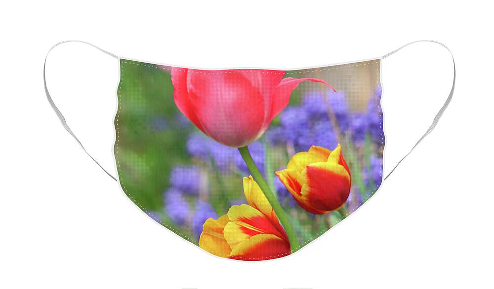 Flowers Face Mask featuring the photograph Portrait of Lovely Tulips by Trina Ansel