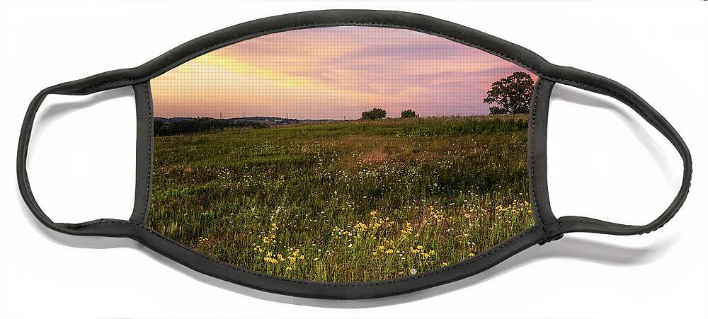 Wildflowers Face Mask featuring the photograph Prairie Color by Nate Brack